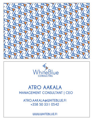 Thesis work project for A-A White Blue Consulting Oy, 2019